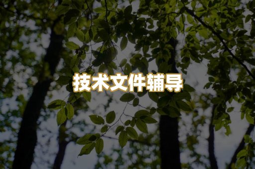 技术文件辅导